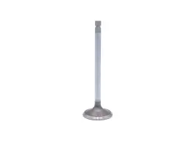 01801 Sb International For Cummins 4bt 6bt 1.654 Inch Exhaust Valves Sold Each