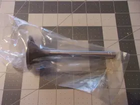 Ft71-ft73 Sbi 01180 Intake Valve 3577948 Dodge Charger V8 360ci 5.9l