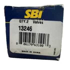 13246 Sbi Intake Valves Set Of 2 New Sealed