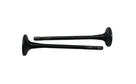13264 Sbi 2 Pack - Exhaust Valves Out Of Box Sb1