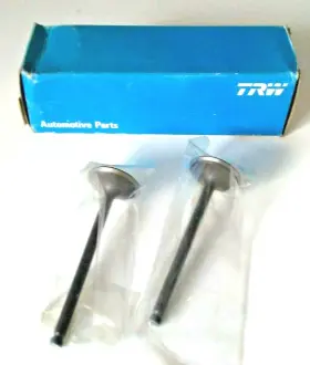 Sealed Power 087674252553 Two 2 Engine Intake Valve Trw/sealed V2254 Made In Japan