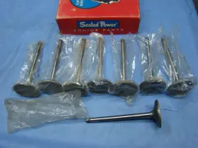 1302int Sealed Power 1954 - 57 Ford Truck 279 302 Lincoln 317 332 Intake Valve Set