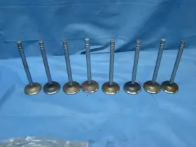 1813spr Sealed Power Pontiac 389 400 421 Exhaust Valve Set 8 10.5 Cr 1964-1967 1.64 Head