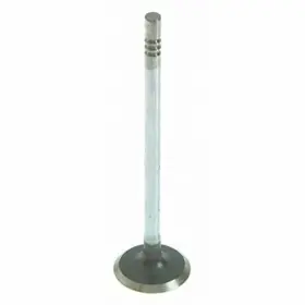Sealed Power 614046333192 V-4556 Exhaust Valve