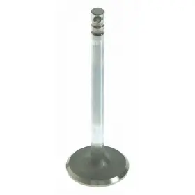 Sealed Power 724956653218 Engine Intake Valve V-1927