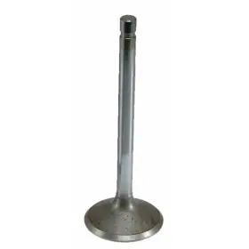 Sealed Power 724956655113 Engine Intake Valve V-2117