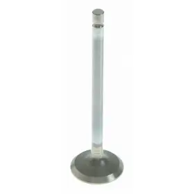Sealed Power 724956659586 Engine Exhaust Valve V-2614