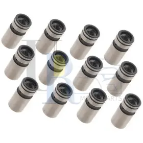 S2qyrp250828s07927 Sealed Power 12pcs Engine Valve Lifter For Jeep Cherokee 1974-1999 2000 2001