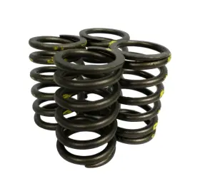 Vs-1601 Sealed Power Set Of 4 Engine Valve Spring Vs1601