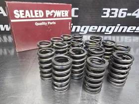 Vs-521 Sealed Power Valve Spring. Set Of 16