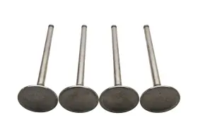 13201-a3000 Shin Nippon Datsun Intake Valves Qty 4 Nos