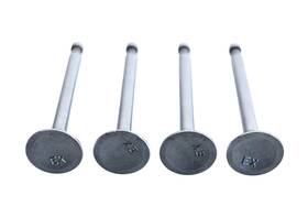 Shin Nippon 13202-20600 Exhaust Valves Qty 4 Nos