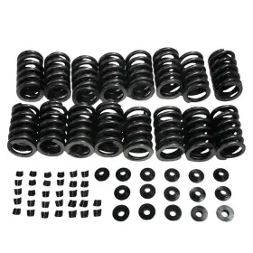 Skerv880 Skp Valve Spring Kit
