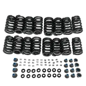 Skst2151 Skp Valve Spring Kit