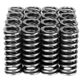 311-05-1345 Skunk2 - Alpha Series Valve Spring Set