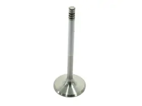 928-105-641-06 Sm Engine Parts Intake Valve-sm