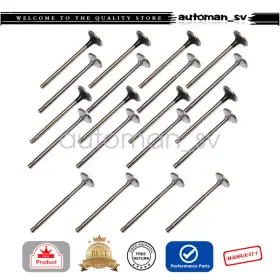 058-109-601 Soillar Fits For Audi A4 Tt Volkswagen Golf Passat Jetta 1.8l Dohc Intake Exhaust Valves
