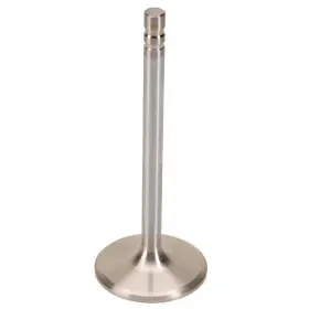 23560194 Speedway Motors Replacement Intake Valve Fits Chevy Race Saver 305 Small Block