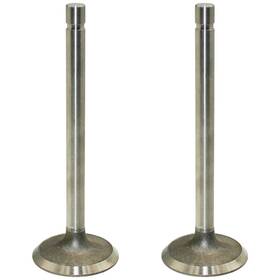 Stevens Lake Parts T20174 Set Of Two R52251 Intake Valves Fits John Deere 3300 499 7440 2270 244e 3120