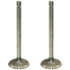 R52251 Stevens Lake Parts T20174 Set Of Two Intake Valves Fits John Deere 3300 499 7440 2270 244e 3120