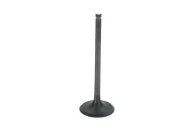 13201aa371 Subaru Genuine Intake Valve
