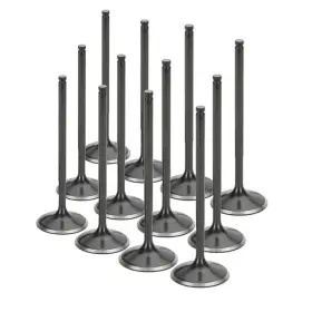01037721244529 Supertech Audi/vw 1.8t 5v Black Nitrided Intake Valve - Set Of 12