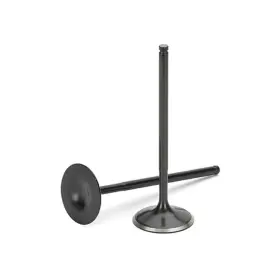 Supertech 661317357869 Intake Valve For Volkswagen R32 Vr6 24v Black Nitrided Set Of 6