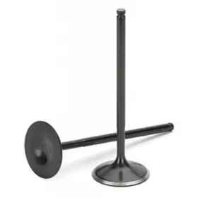 Supertech 661317366946 Intake Valve For Nissan Black Nitrided 1mm Oversize Set Of 12