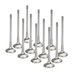 Fevi-5024s-16 Supertech Spt Exhaust Valves