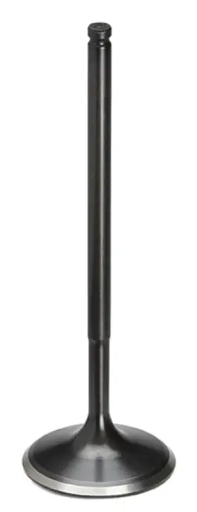 Fivn-5020t-16 Supertech Compatible With/replacement For Ford Coyote 5.0l 37.30mm Head Dia