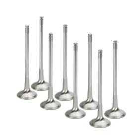 Nevi-1005-7-8 Supertech