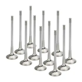 Nevi-1070-hs-12 Supertech Spt Exhaust Valves
