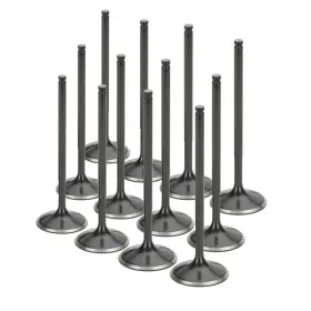 Nivn-1070-12 Supertech Spt Intake Valves