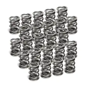 Spr-h1005d-24 Supertech Fits Bmw M50/m52/s50/s52 Dual Valve Spring - Set Of 24