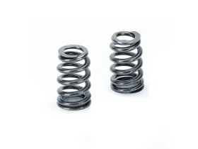 Spr-mc56be-16 Supertech Compatible With/replacement For Mini Cooper N14b16 / N18b16 Beehive