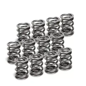 Spr-v2093-4-12 Supertech Vw Vr6 Dual Valve Spring - Set Of 12