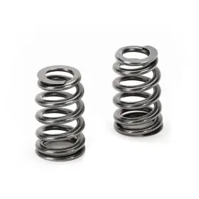 Sprk-bms63b Supertech Compatible With/replacement For Bmw S63 V8 Conical Spring Kit - Rate