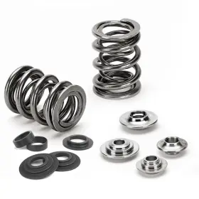 Sprk-mm16d-2 Supertech Compatible With/replacement For Mazda Miata 1.6l Dual Valve Spring