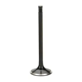 Vwivn-1002t Supertech Spt Intake Valves