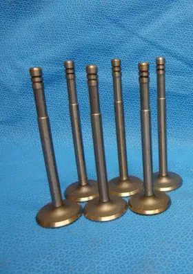 1690-x Thompson Dodge 218 230 Intake Valve Set Hardened Hd Usa Made Marine