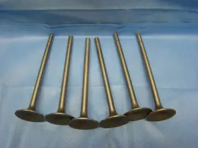 1809int Thompson 1948 - 1953 Chevrolet 216 235 Intake Valve Set 6 Valves Usa Nors