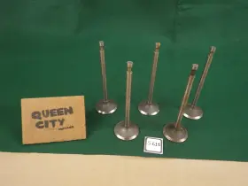 S611 Toledo Nos Trw/toledo Engine Valves 5 Pieces