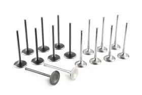Ta303a-hn01a Tomei Racing Valve Set For Nissan K20/k24