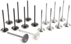 Ta303a-mt01a Tomei Racing Valve Set For 4g63 Engine Specific Design