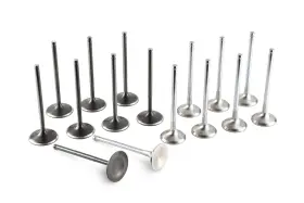 Ta303a-mt02a Tomei Racing Valve Set For 4b11 Engine Specific Design