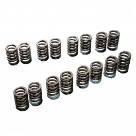 Ta304a-mt02a Tomei Valve Spring Set For 4b11/hyundai G4kf High Lift Type