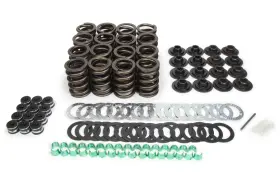 Tfs-2500100 Trick Flow Specialties Valve Spring Upgrade Kit Ford 289-351w