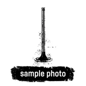 001ve30534000 Trw 261100 New Intake Valve - 3660501226 A3660501226 2-pack