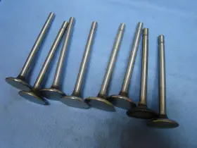 2695ex Trw Ford Mercury 302 Exhaust Valve Set 8 Valves 1969 - 1978 Usa Made Single Tip