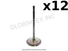 300100 Trw Porsche 2002-2008 Intake Valve 12 Pcs 1 Year Warranty